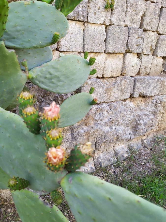Casina Nel Salento Apartment Lecce Luaran gambar